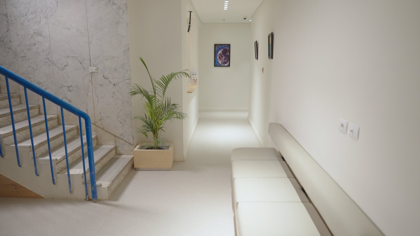 gallery grid image